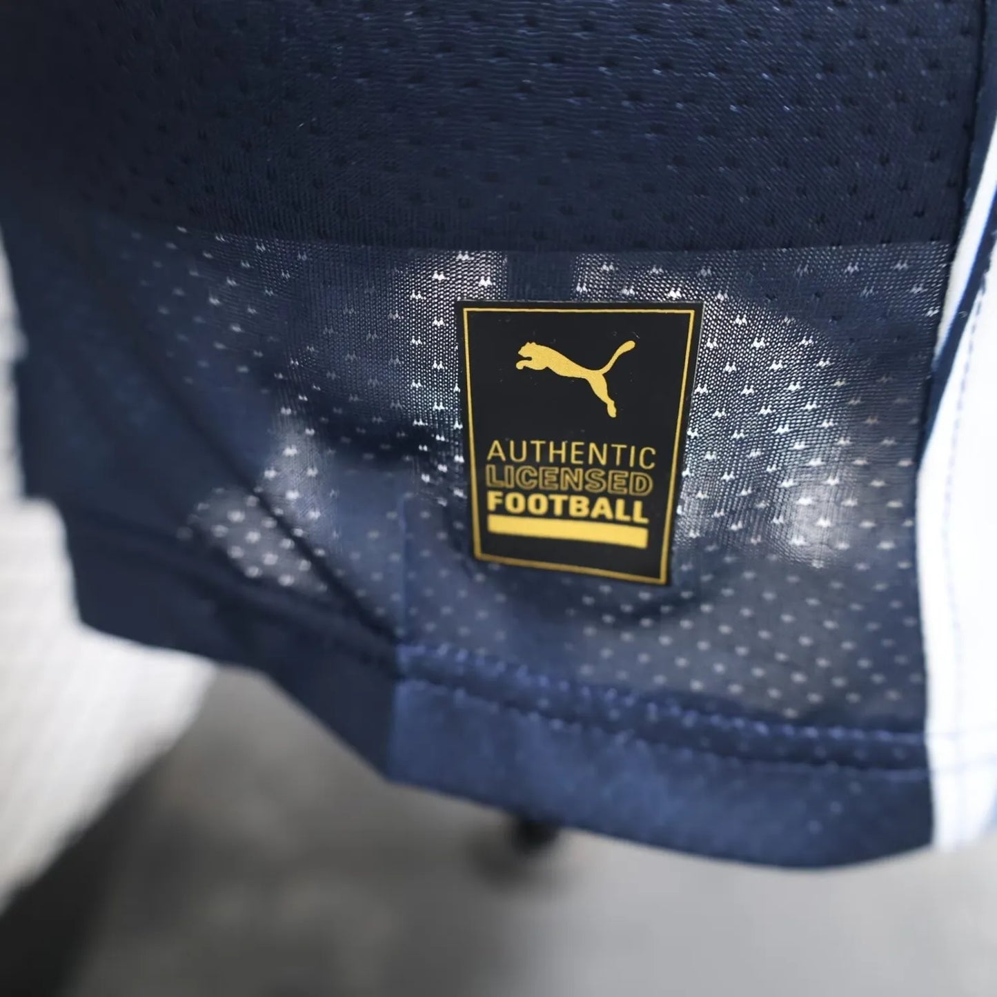 24/25 Monterrey Home Player 1:1 Quality Soccer Jersey