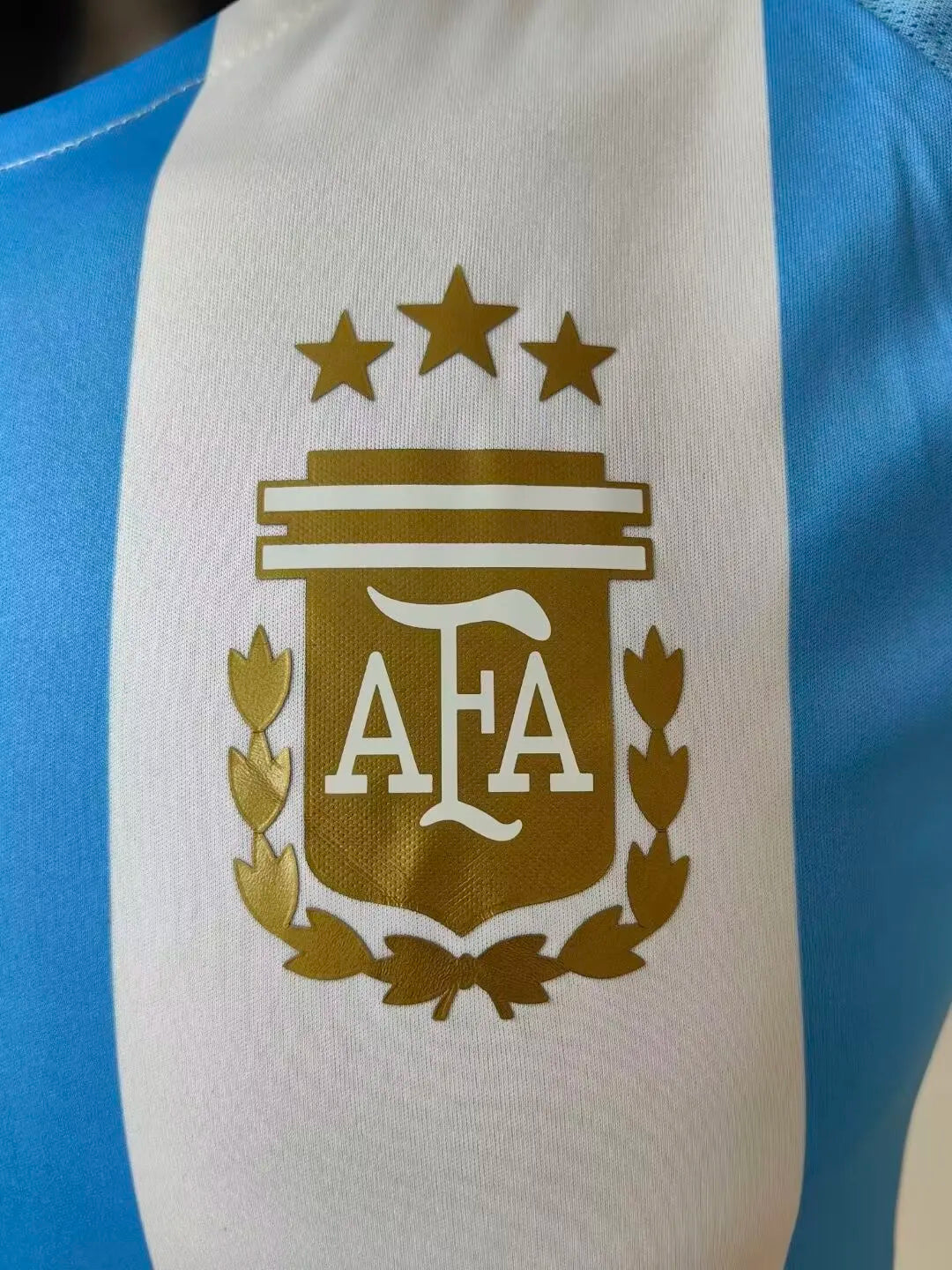 24/25 Argentina Home Blue And White Player 1:1 Quality Soccer Jersey