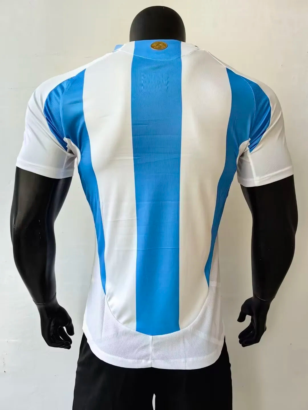 24/25 Argentina Home Blue And White Player 1:1 Quality Soccer Jersey