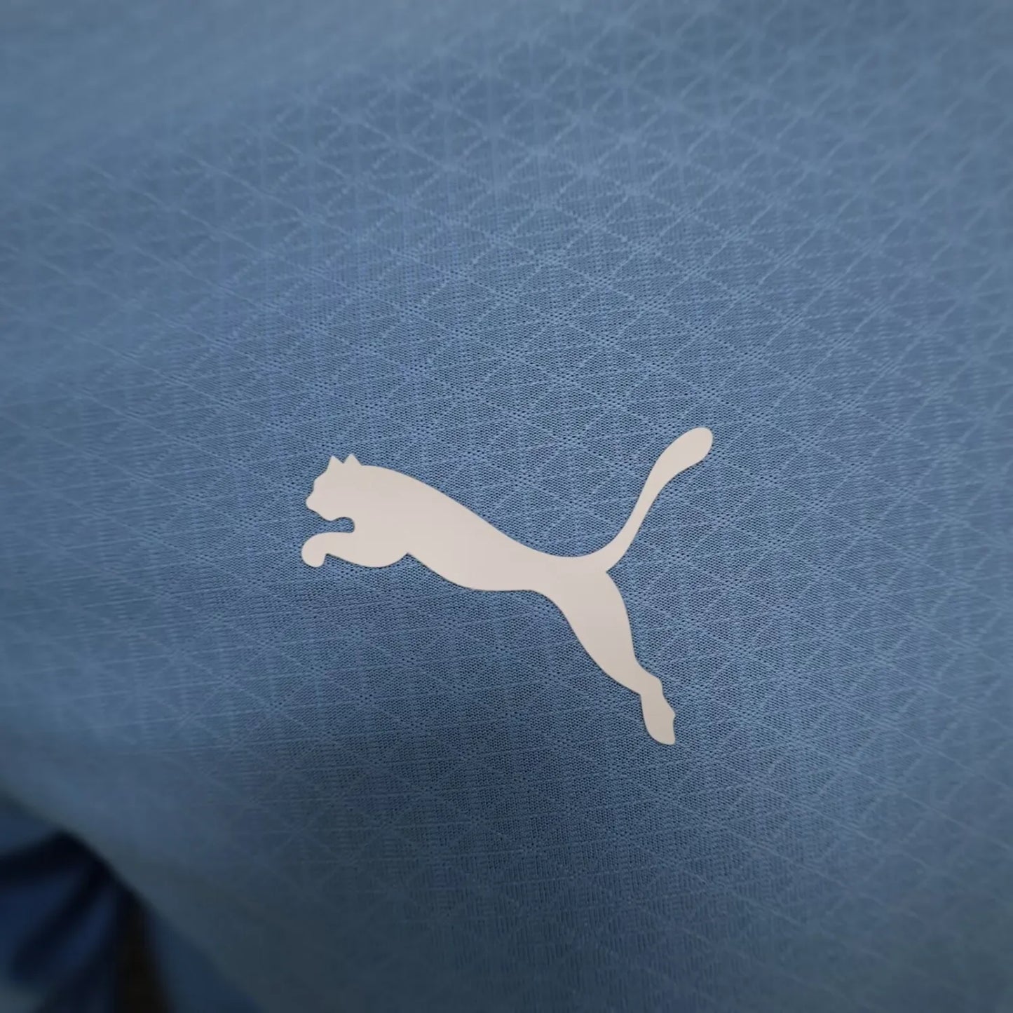 24/25 Manchester City Home Long Sleeve Player 1:1 Quality Soccer Jersey