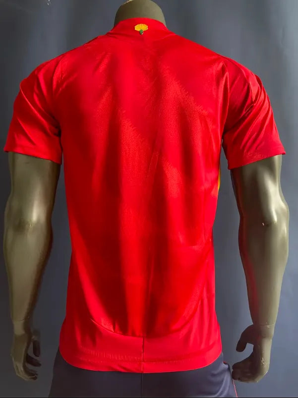 24/25 Spain Home Player 1:1 Quality Soccer Jersey