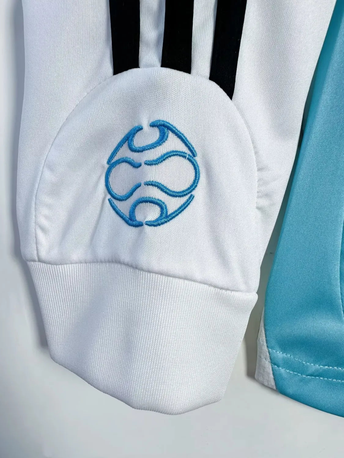2006 Argentina Home Long Sleeve Retro 1:1 Quality Soccer Jersey